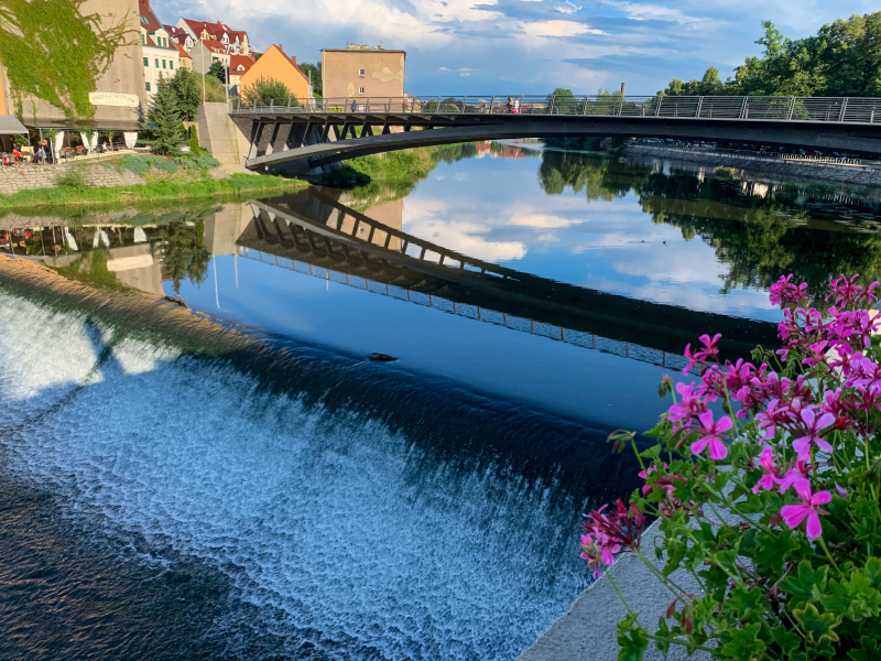 GrlitzSI_06
